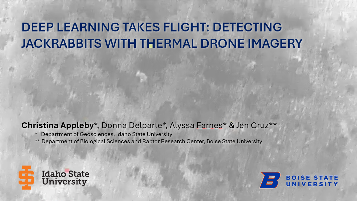 image of PowerPoint slide with grey-color thermal image as background
