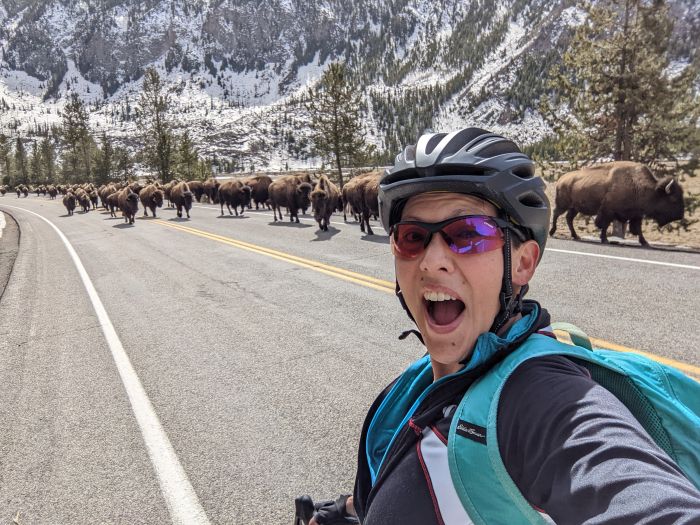 A woman wearing bicycle helmet with a herd of buffalo on the road in the background