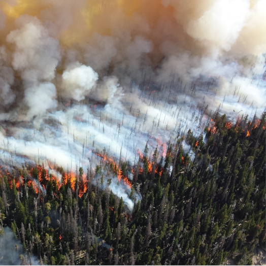 map of the Cold Fire burn scar showing burn severity classes from 2008 after the fire
