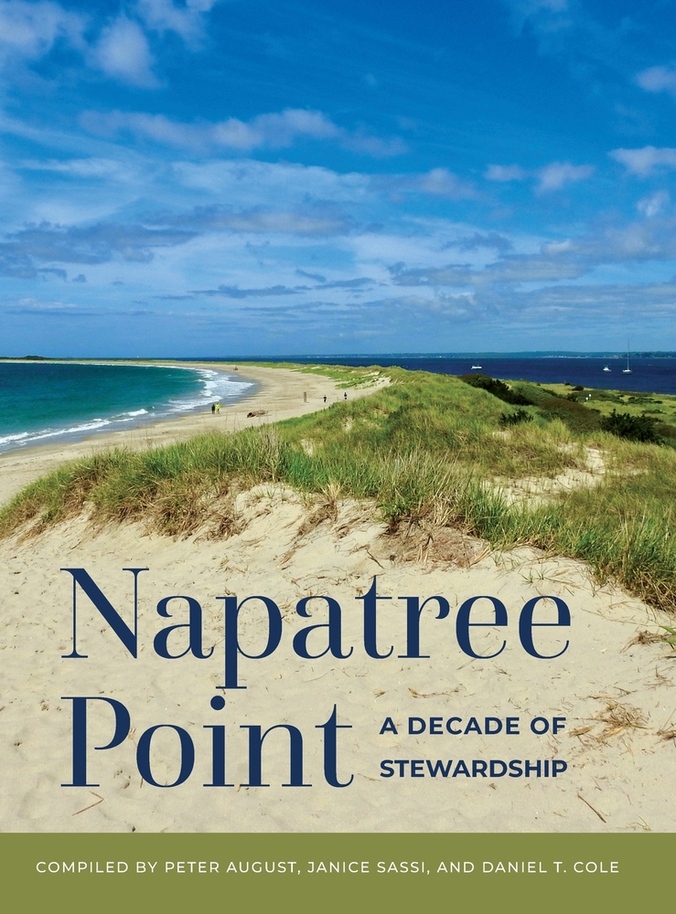 image of book cover with a beach and ocean