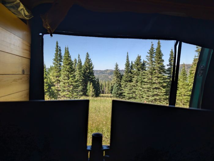Dual monitors at a workstation in a campervan with views of a meadow and confiers