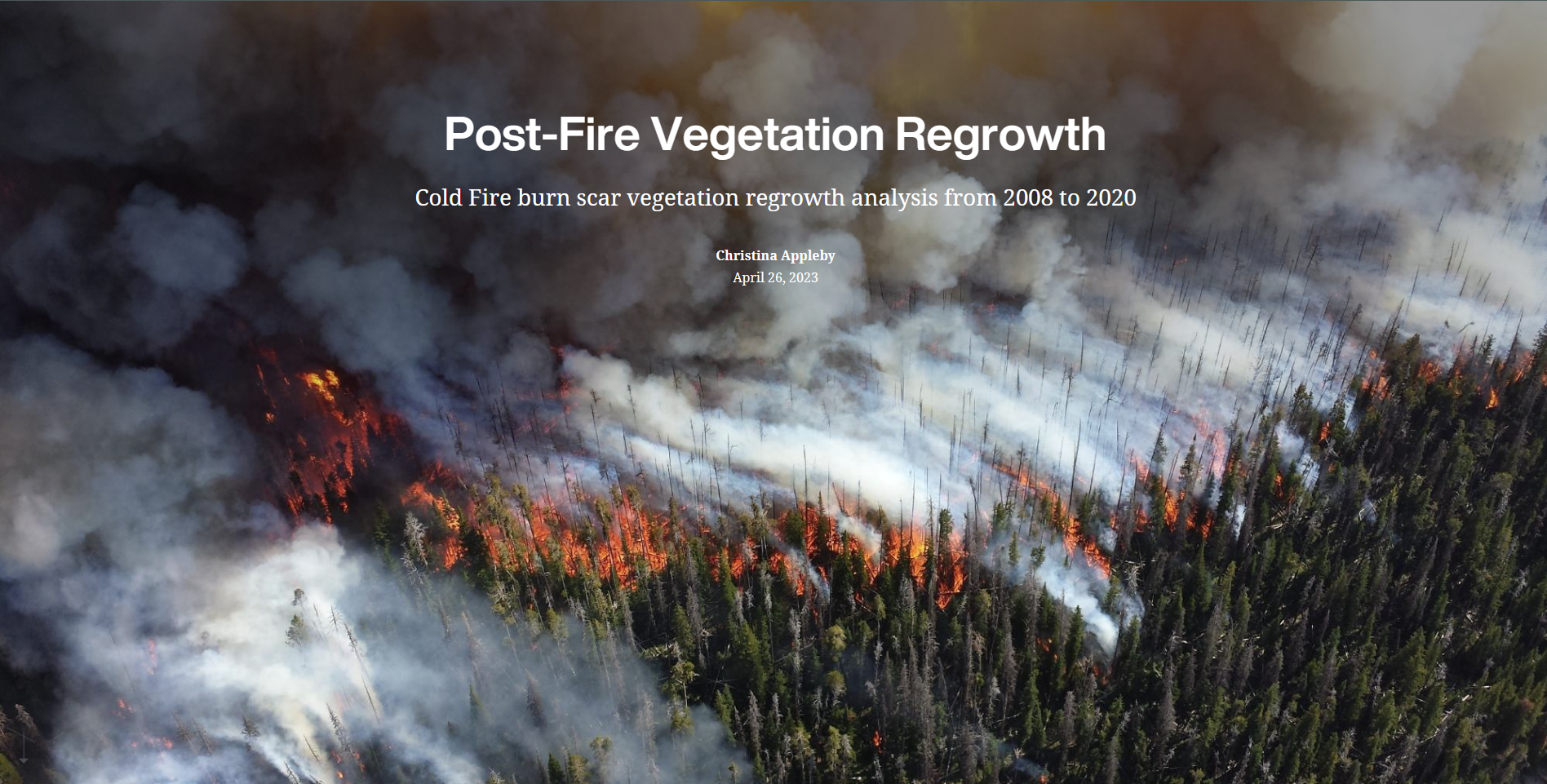 forest on fire with smoke billowing into the air