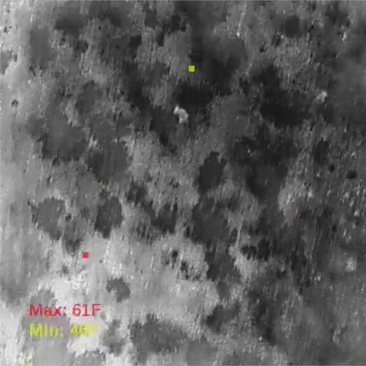 thermal video frame with mostly gray pixels and lighter pixels in the shape of a jackrabbit