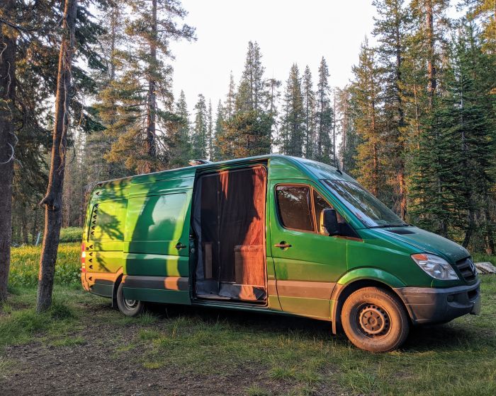 Green van in the golden sunlight with the slider open in a conifer forest